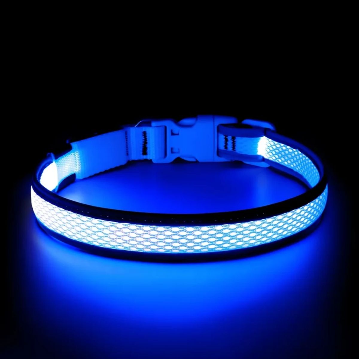 USB Rechargeable LED Dog Collar - Nighttime Safety Collar