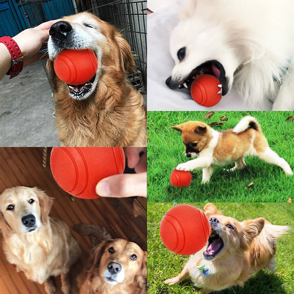 Solid Rubber Dog Ball - Bite-Resistant TPR Chew Toy for Dogs