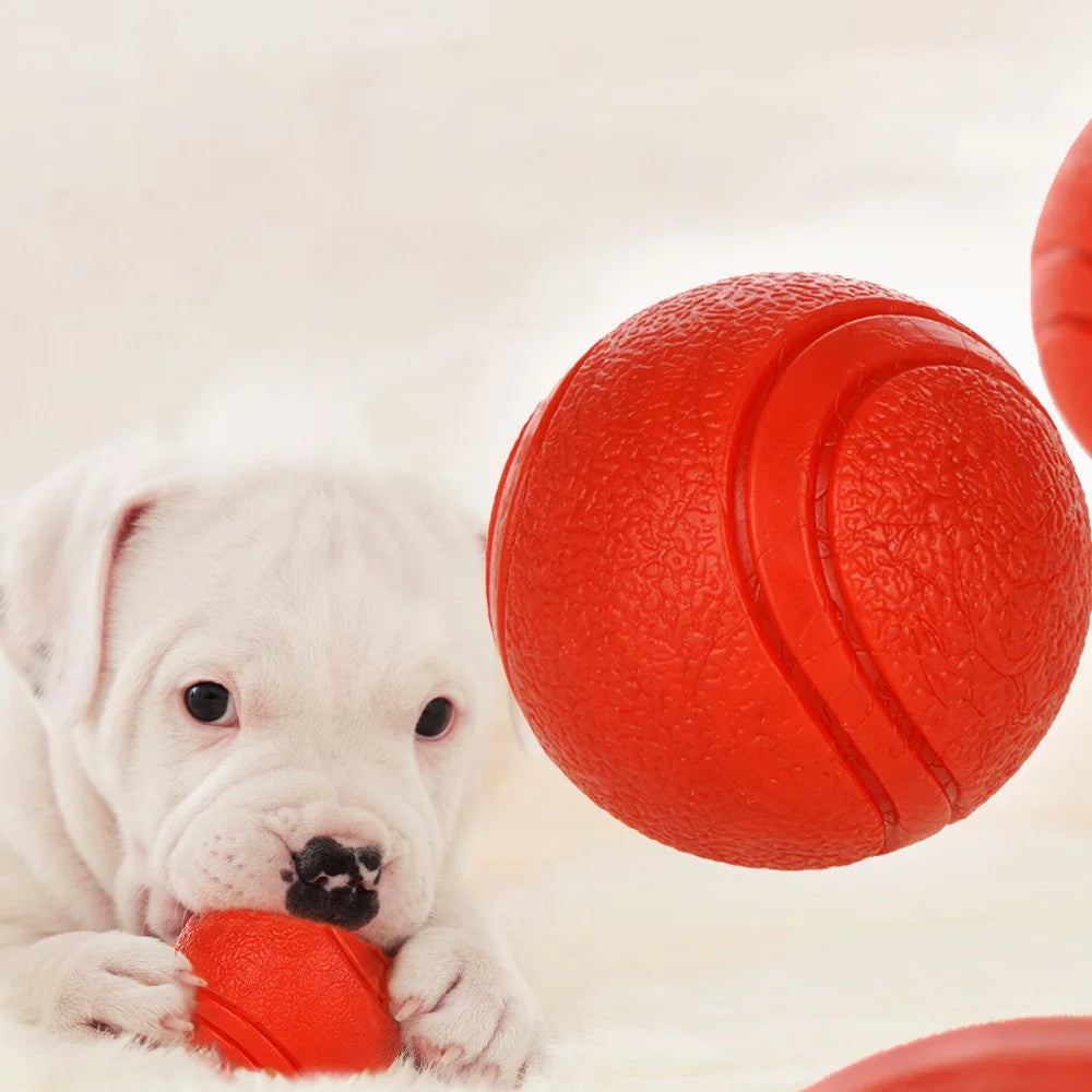 Solid Rubber Dog Ball - Bite-Resistant TPR Chew Toy for Dogs
