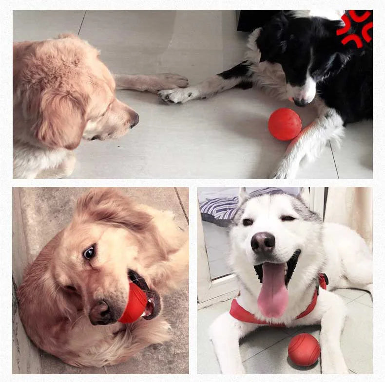 Solid Rubber Dog Ball - Bite-Resistant TPR Chew Toy for Dogs