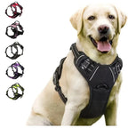 Solid Color Vest Dog Harness - Daily Walking Harness for Dogs