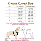 Nylon Vest Dog Harness - Easy Buckle Closure for Daily Walks