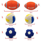 Squeaky Dog Toy Balls - Volleyball, Rugby & Football Styles