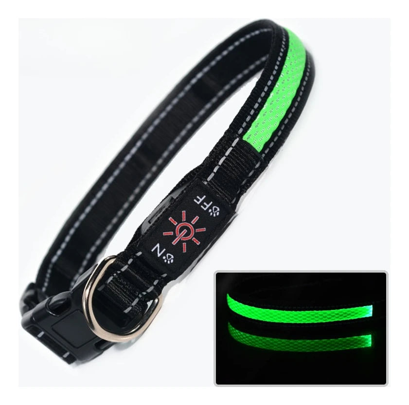 USB Rechargeable LED Dog Collar - Nighttime Safety Collar