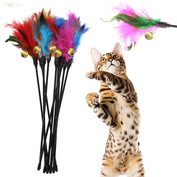 Cat Feather Wand Set of 5 - Plastic Rods, Colorful Feathers
