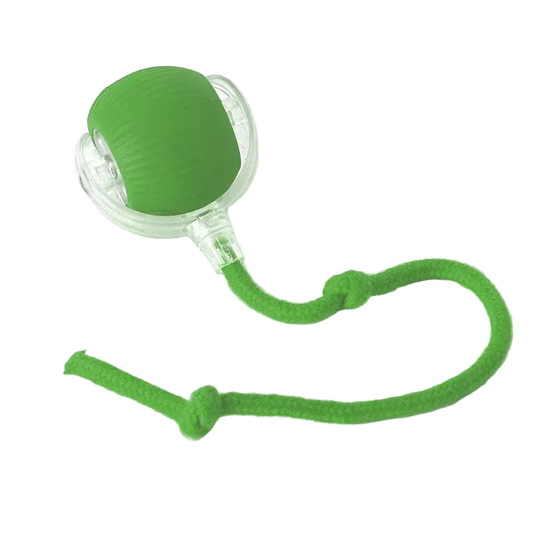 Interactive Rolling Cat Toy Ball - Rechargeable Electric Toy