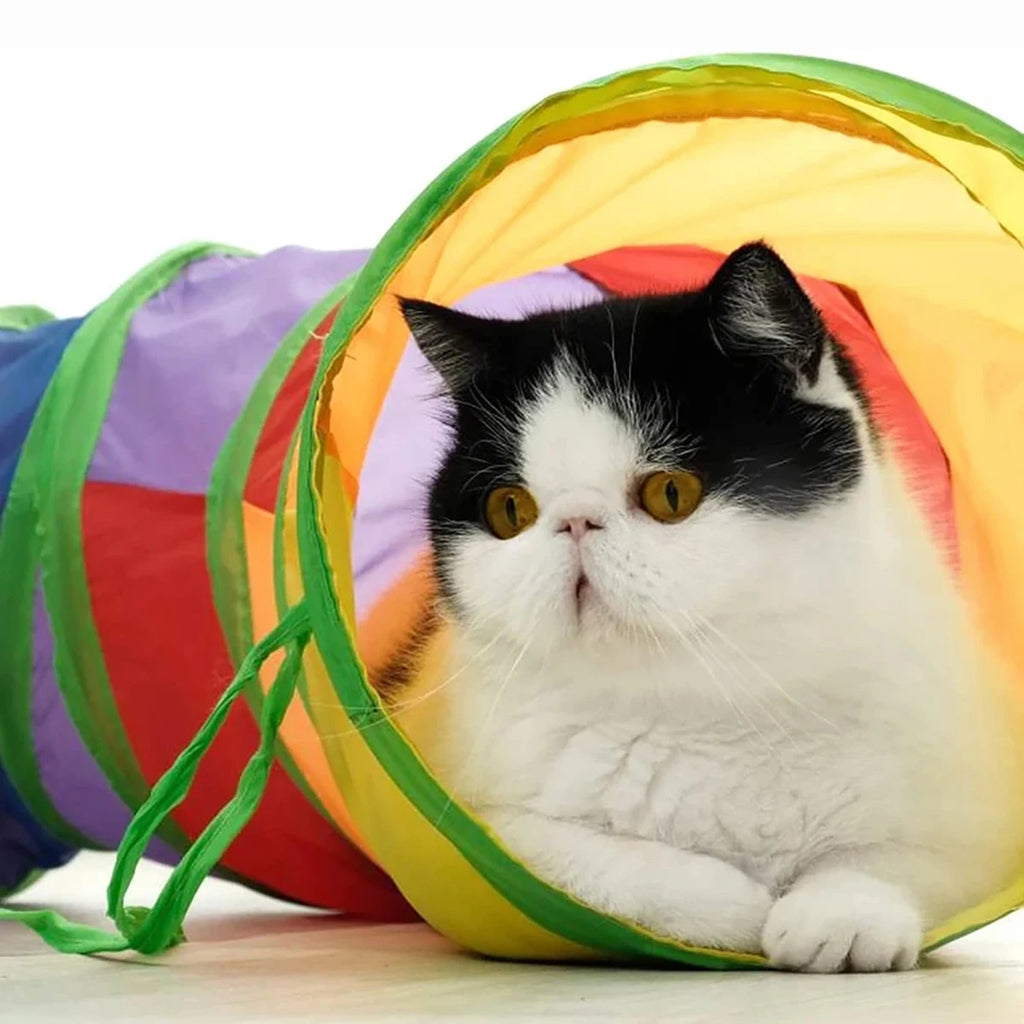 Foldable Cat Tunnel - Splittable Play Tube for Cats & Kittens