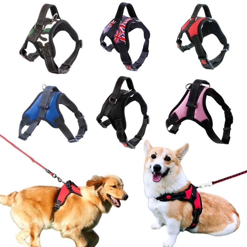 Nylon Vest Dog Harness - Easy Buckle Closure for Daily Walks