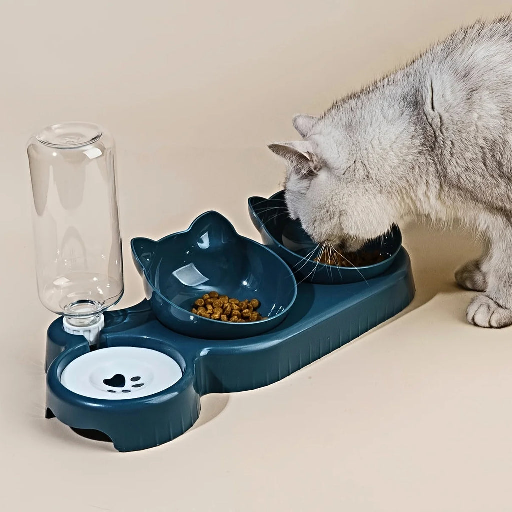 Cat Bowl Set with Water Bottle - 2 Food Bowls, 1 Water Bowl