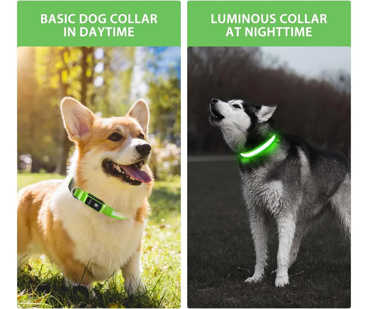 USB Rechargeable LED Dog Collar - Nighttime Safety Collar