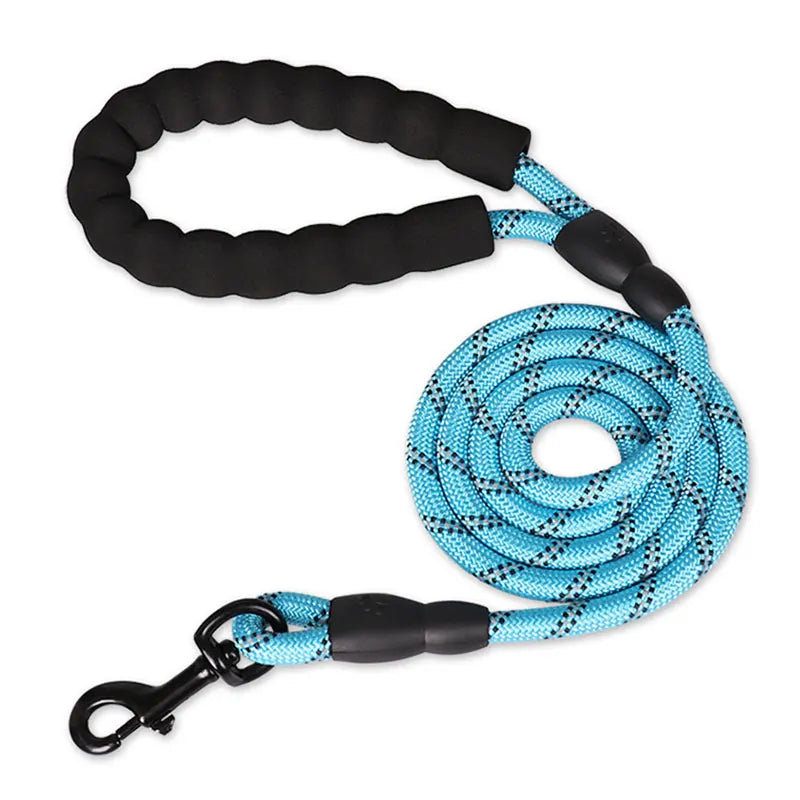 Nylon Dog Leash - Basic Walking Leash for Puppies & Adult Dogs