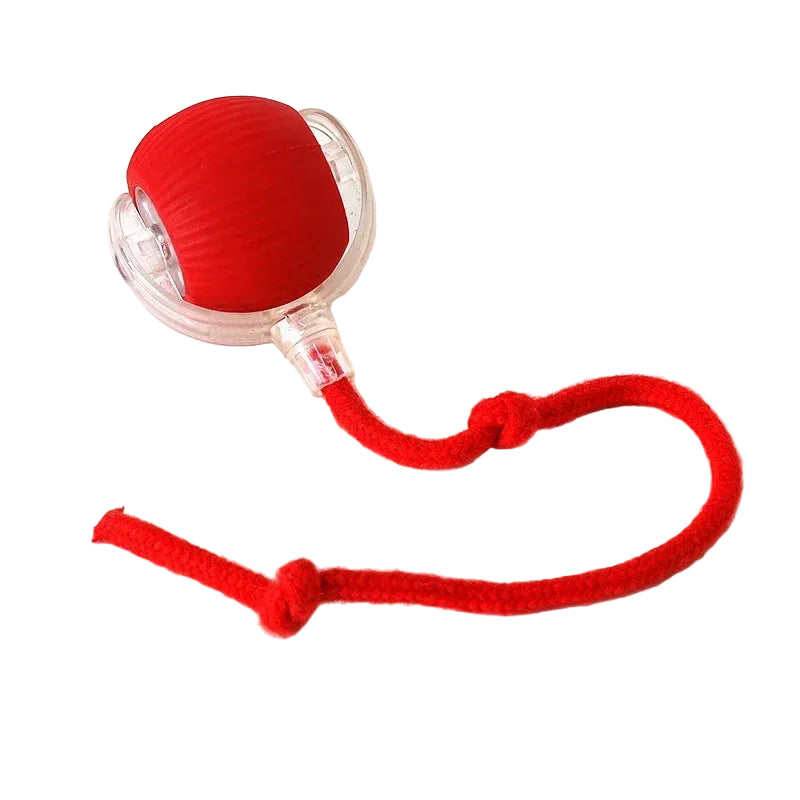 Interactive Rolling Cat Toy Ball - Rechargeable Electric Toy