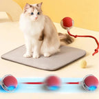 Interactive Rolling Cat Toy Ball - Rechargeable Electric Toy