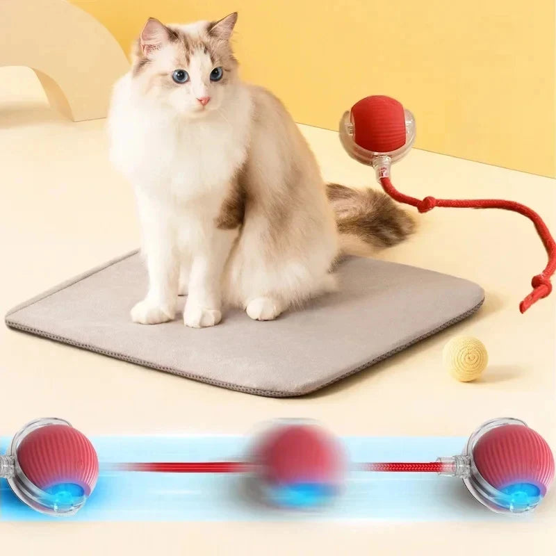 Interactive Rolling Cat Toy Ball - Rechargeable Electric Toy
