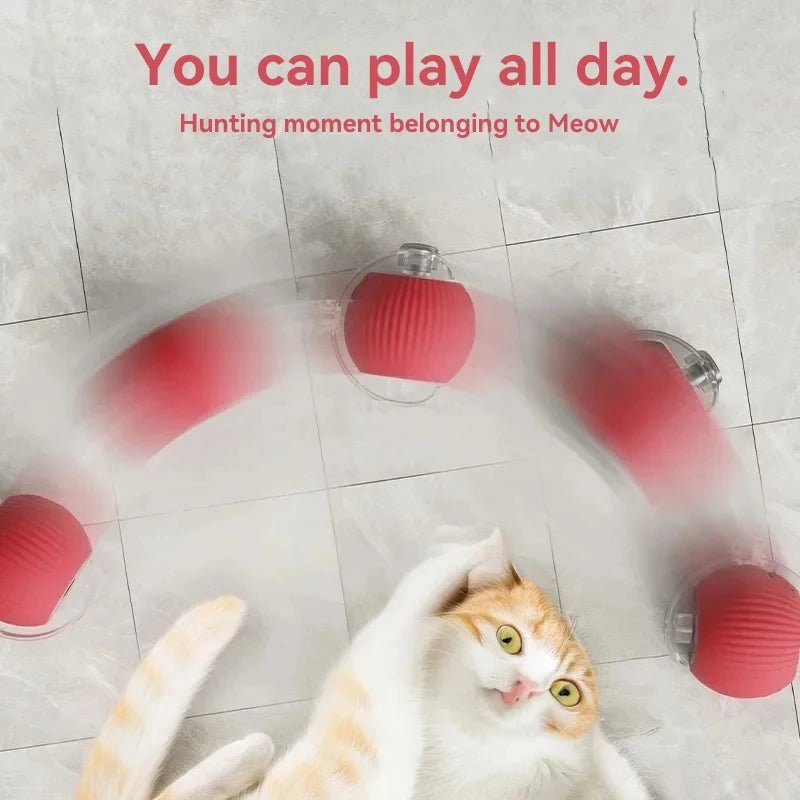 Interactive Rolling Cat Toy Ball - Rechargeable Electric Toy