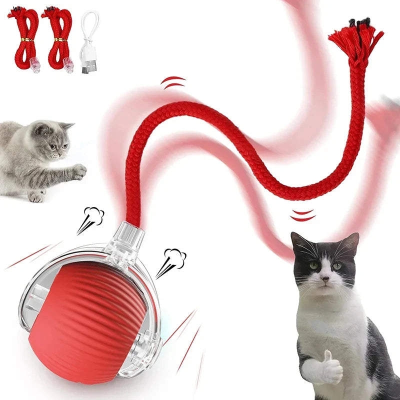 Interactive Rolling Cat Toy Ball - Rechargeable Electric Toy
