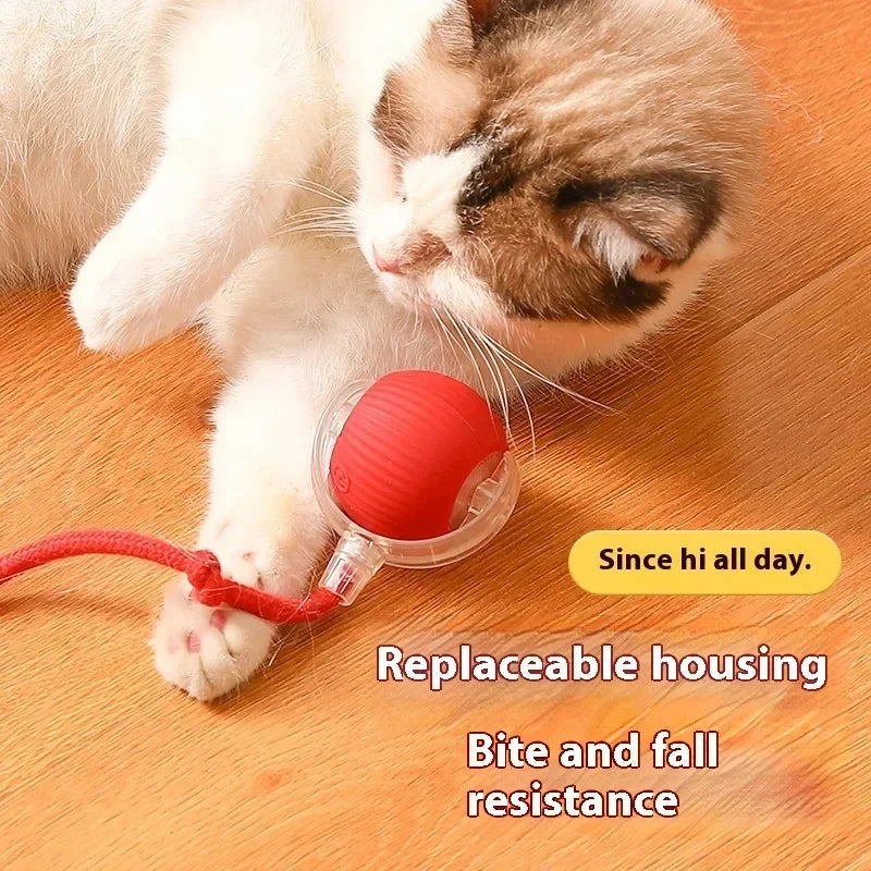 Interactive Rolling Cat Toy Ball - Rechargeable Electric Toy
