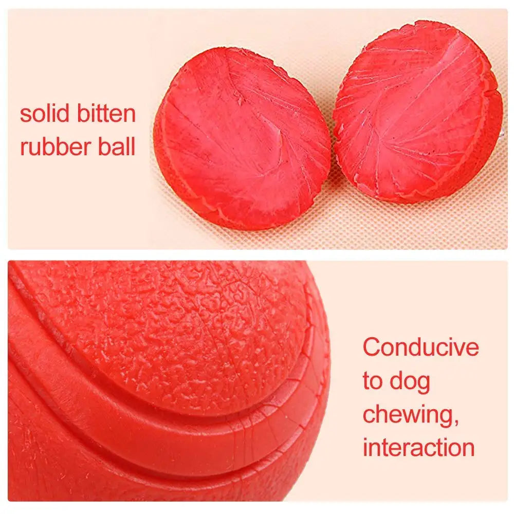 Solid Rubber Dog Ball - Bite-Resistant TPR Chew Toy for Dogs