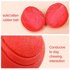 Solid Rubber Dog Ball - Bite-Resistant TPR Chew Toy for Dogs