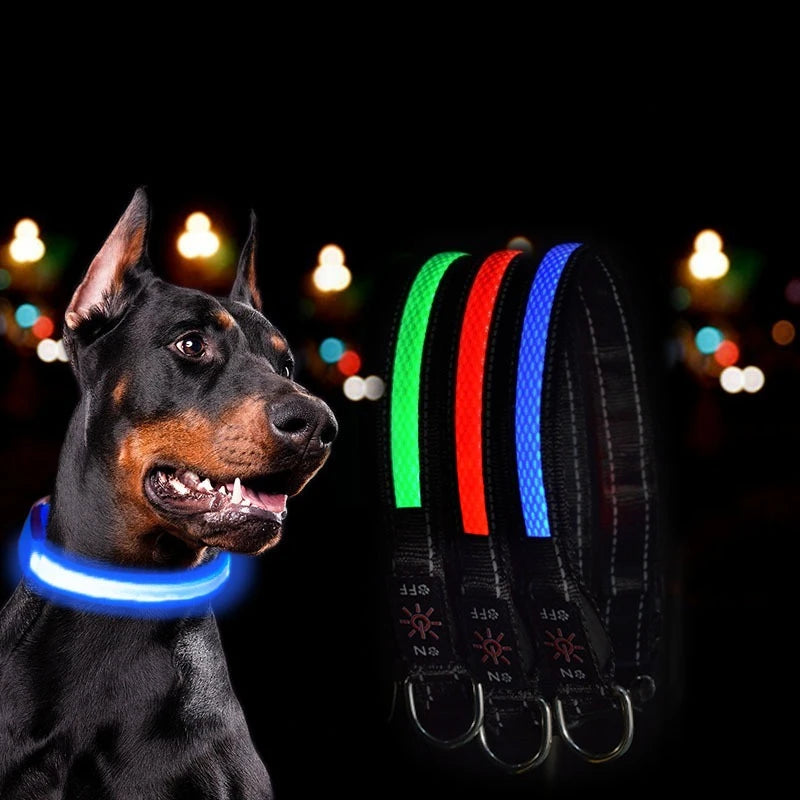 USB Rechargeable LED Dog Collar - Nighttime Safety Collar