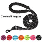 Nylon Dog Leash - Basic Walking Leash for Puppies & Adult Dogs