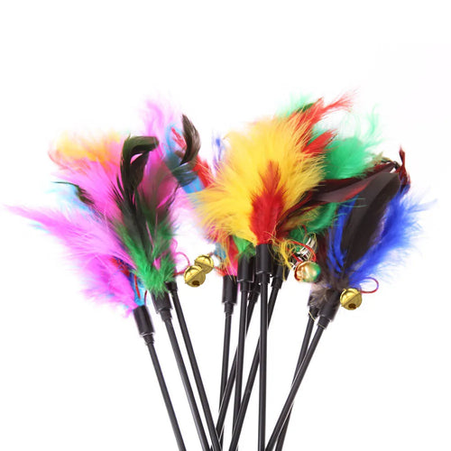 Cat Feather Wand Set of 5 - Plastic Rods, Colorful Feathers