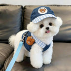 Mesh Vest Harness for Small Dogs & Cats - Adjustable Strap