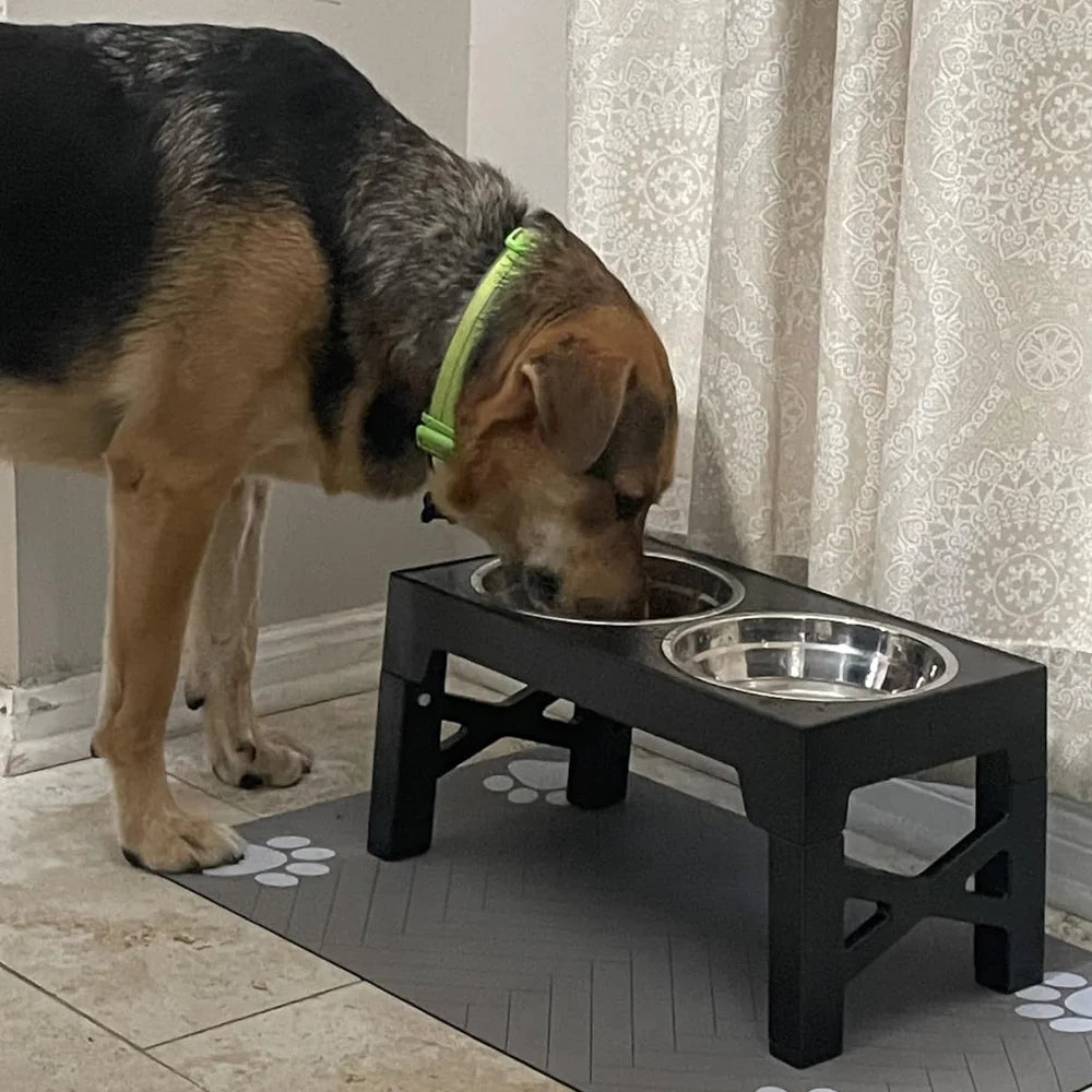 Elevated Dog Feeder - Adjustable Stand, Stainless Steel Bowls