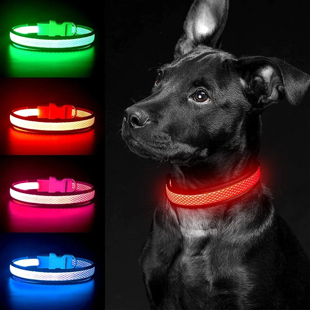 USB Rechargeable LED Dog Collar - Nighttime Safety Collar